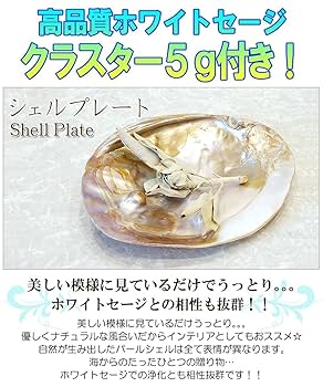 Amazon.co.jp: パールシェル プレート イケチョウ貝 浄化用のお